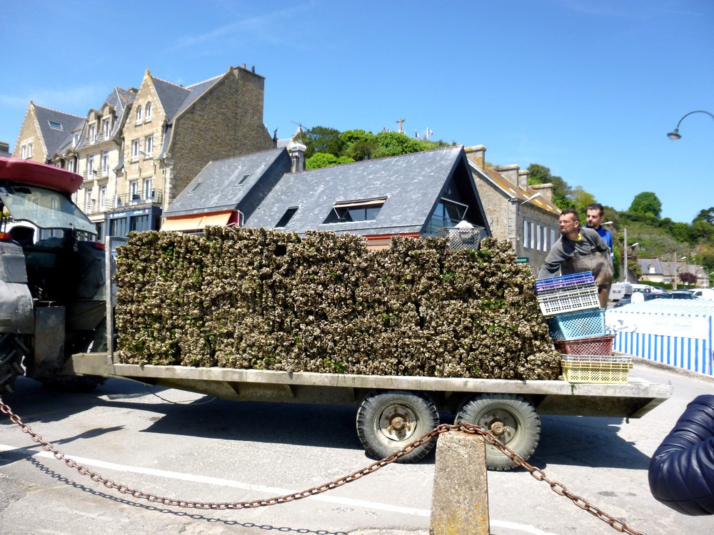 La Galupe de Cancale Photos