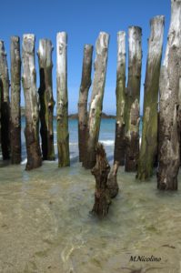 La Galupe de Cancale Livre de Bord