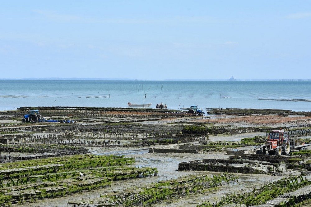 La Galupe de Cancale Activités